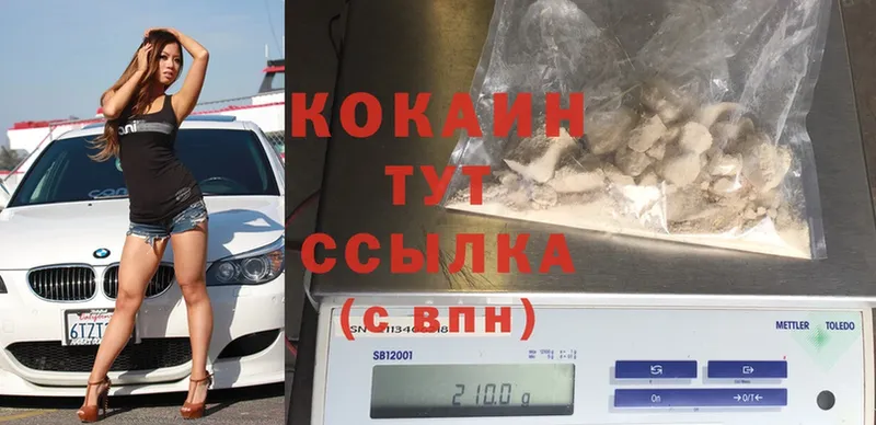 Cocaine Fish Scale  как найти   Нарткала 